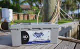 8d Lithium Batteries