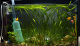 Aquarium Water Changers