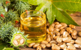 Organic Castor Oils
