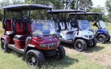D5 Golf Carts