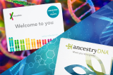 Ancestry DNA Kits