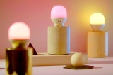 Ecosmart Light Bulbs