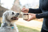 Joint Chew for Dogs
