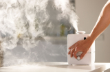Steam Humidifiers