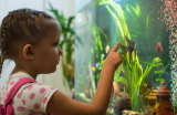 Aquarium Treatment Kits